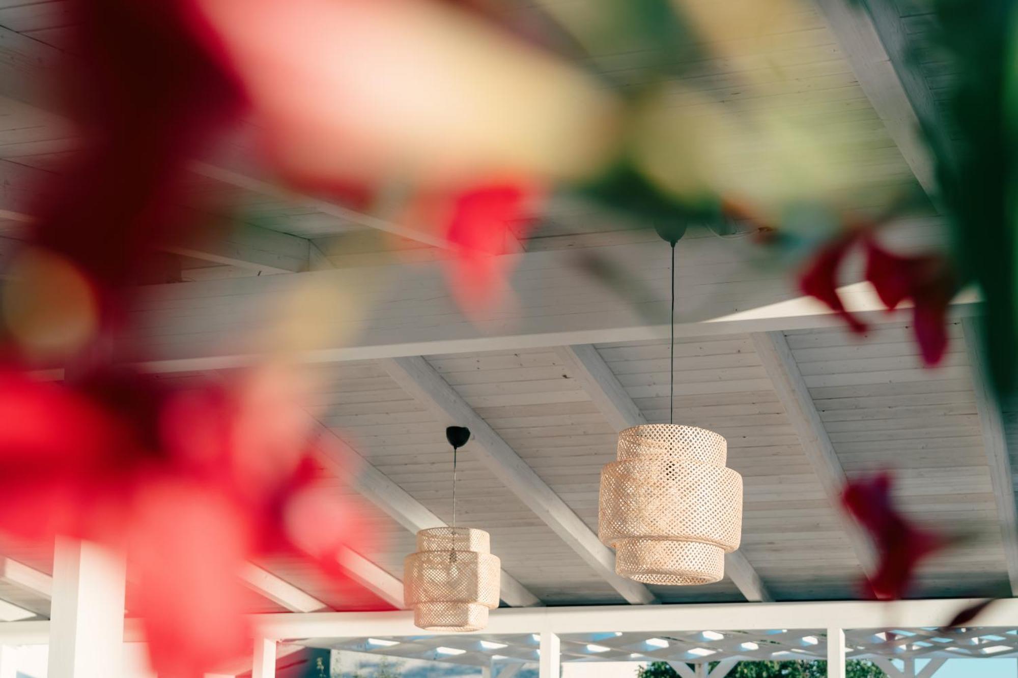 Zyra Garden Club Bed and Breakfast Acquaviva delle Fonti Εξωτερικό φωτογραφία