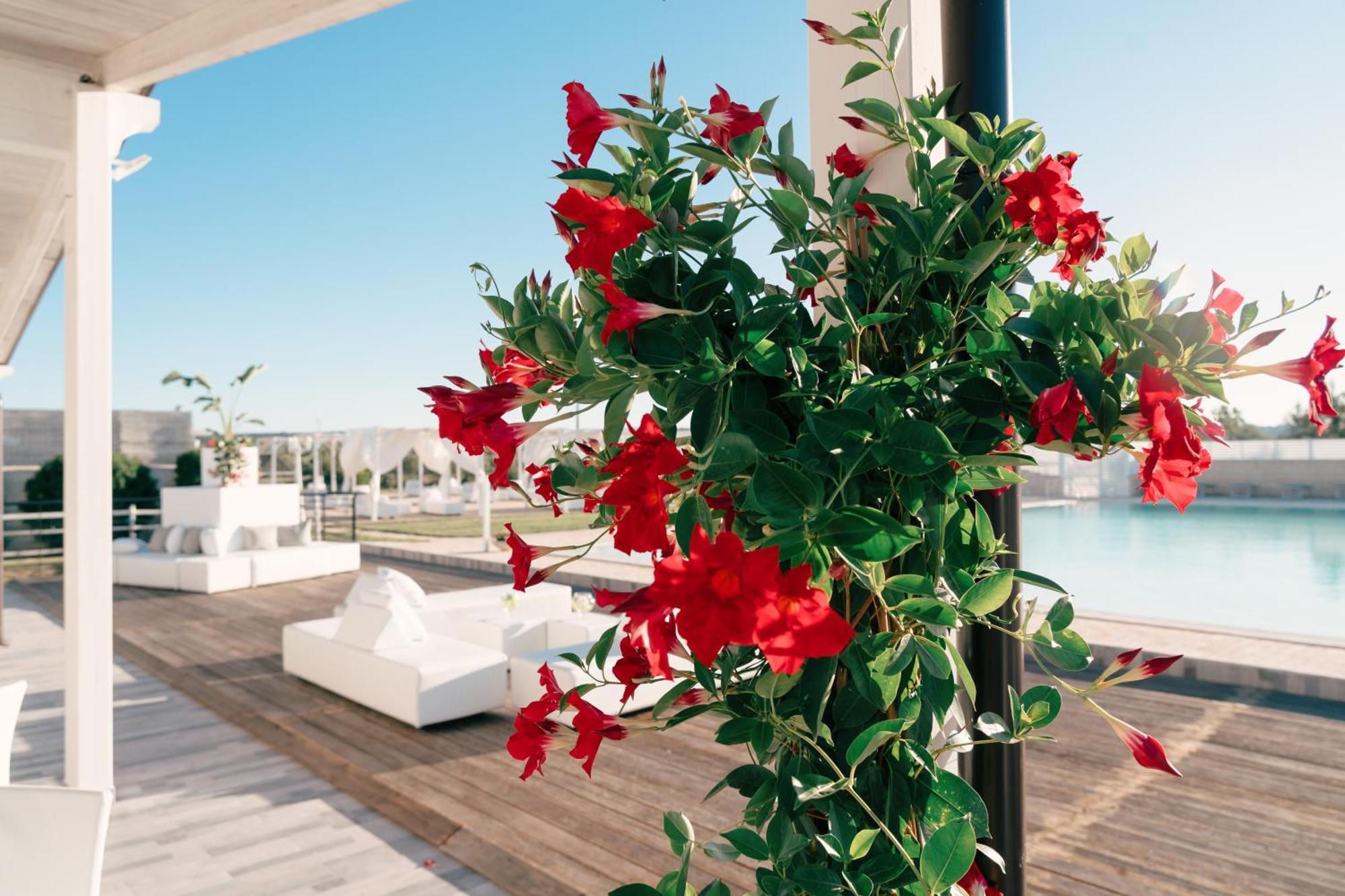 Zyra Garden Club Bed and Breakfast Acquaviva delle Fonti Εξωτερικό φωτογραφία